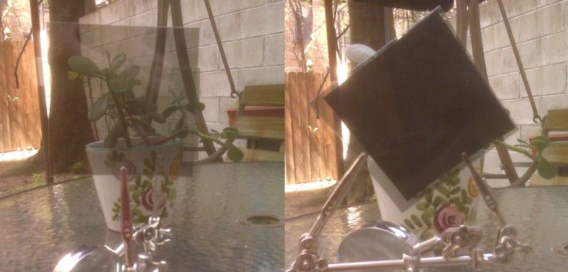 It's a Japanese Jade. It can survive anything. Even quantum mechanics.